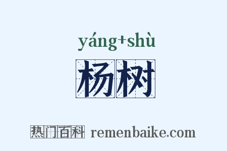 杨树是什么意思的图片